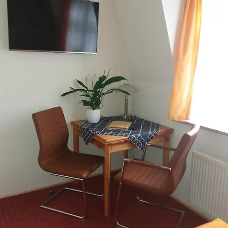 Gaestehaus Loschwitz Drážďany